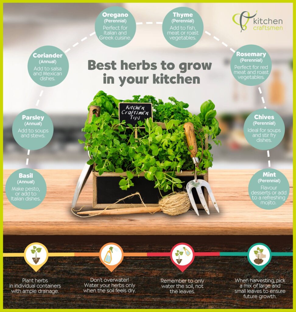 the best herbs to grow in perth kitchens kitchen craftsmen herb flyer